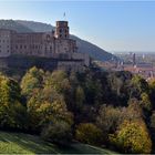 Das Heidelberger Schloss