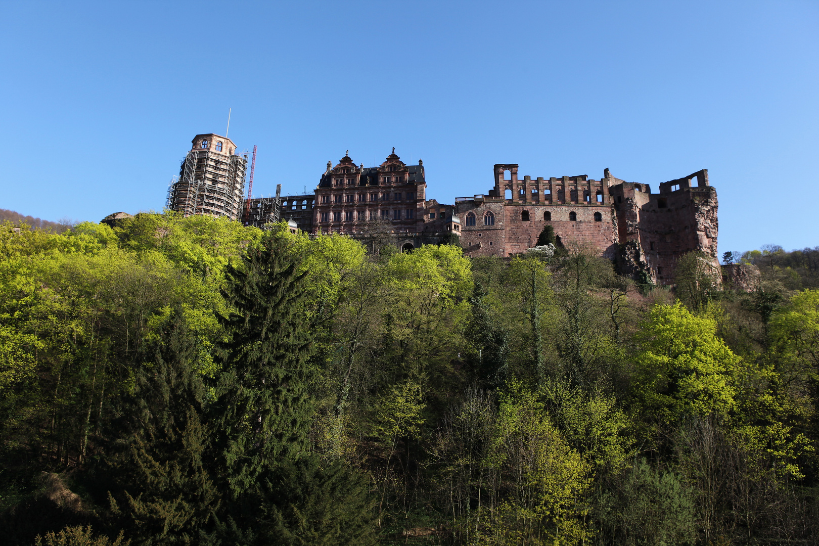 das Heidelberger Schloss vom Dach eines Nachbarn aus betrachtet ...