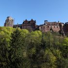 das Heidelberger Schloss vom Dach eines Nachbarn aus betrachtet ...