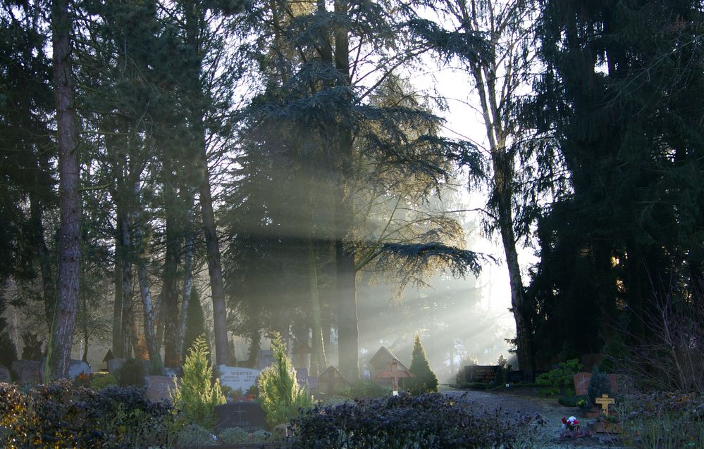 Das helle Licht am Ende des Tunnels