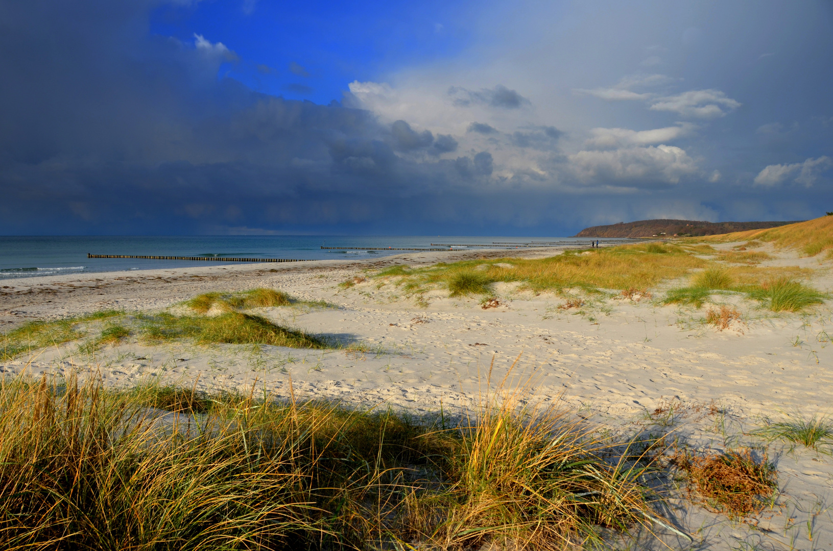 Das Herbst-Licht -Hiddensee 