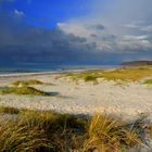 Das Herbst-Licht -Hiddensee 