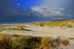 Das Herbst-Licht -Hiddensee 