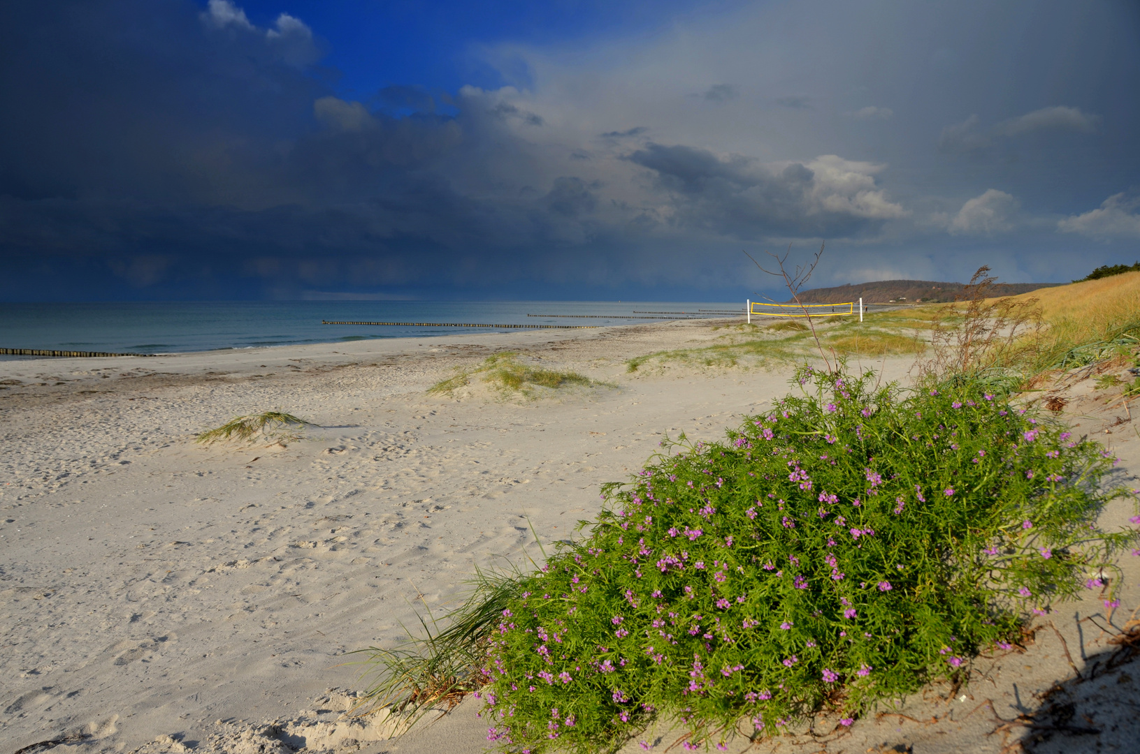 Das Herbst-Licht -Hiddensee 