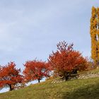 das herbstkleid