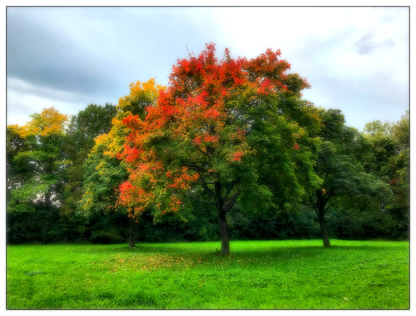 Das Herbstkleid der Natur