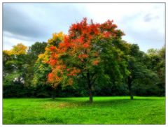 Das Herbstkleid der Natur