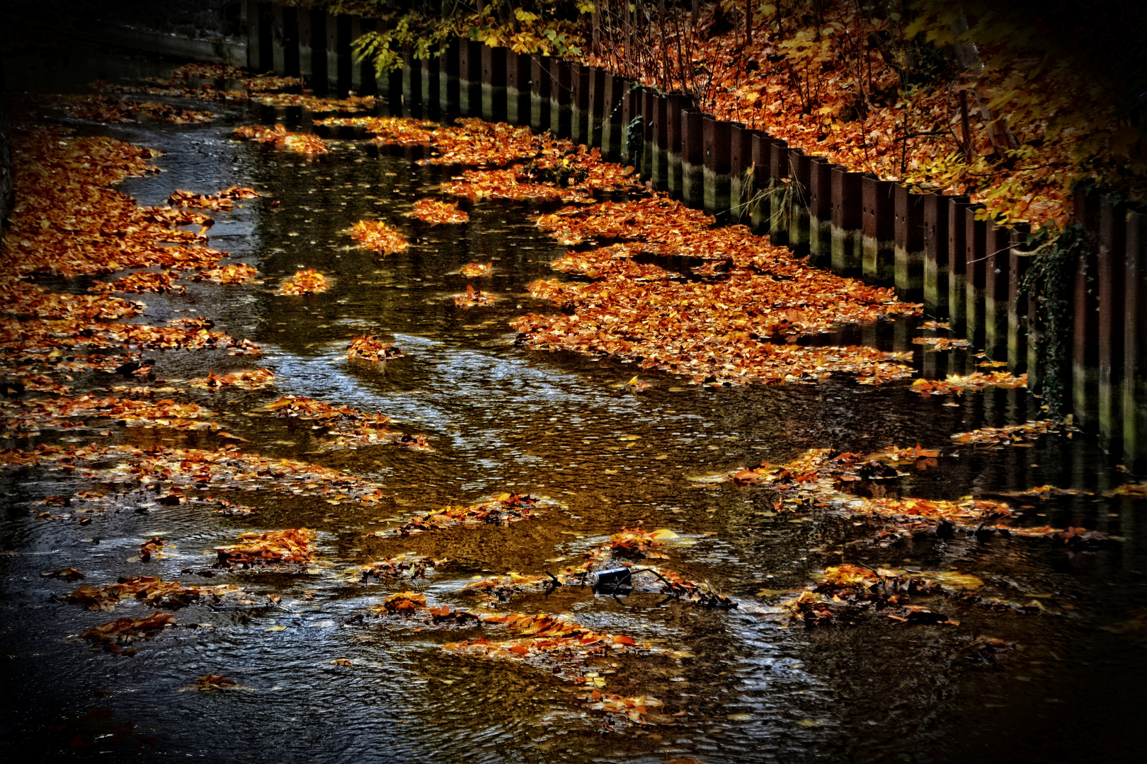 Das Herbstlaub folgt dem Fluss der Zeit