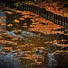 Das Herbstlaub folgt dem Fluss der Zeit