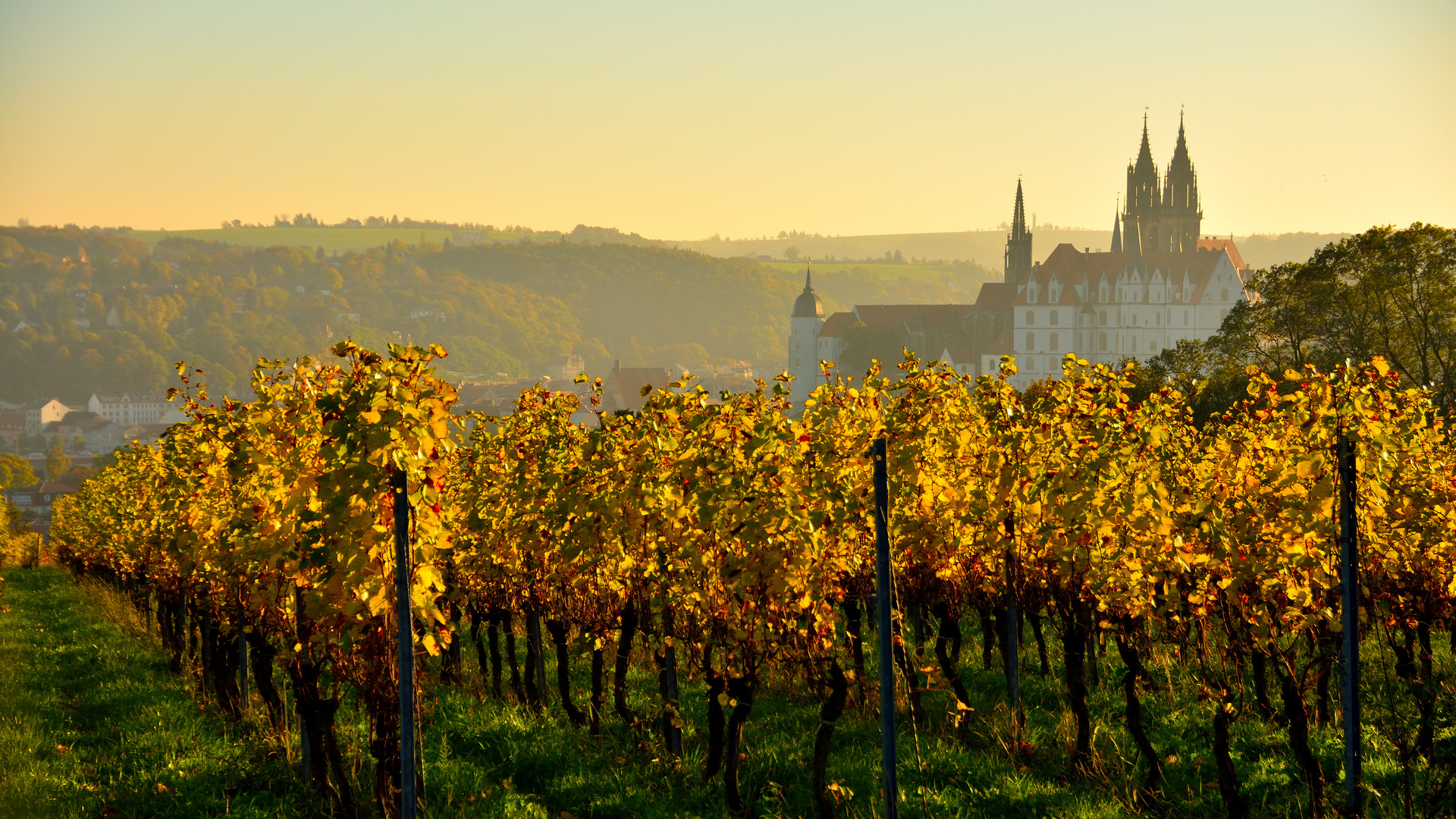 Das herbstliche Meißen