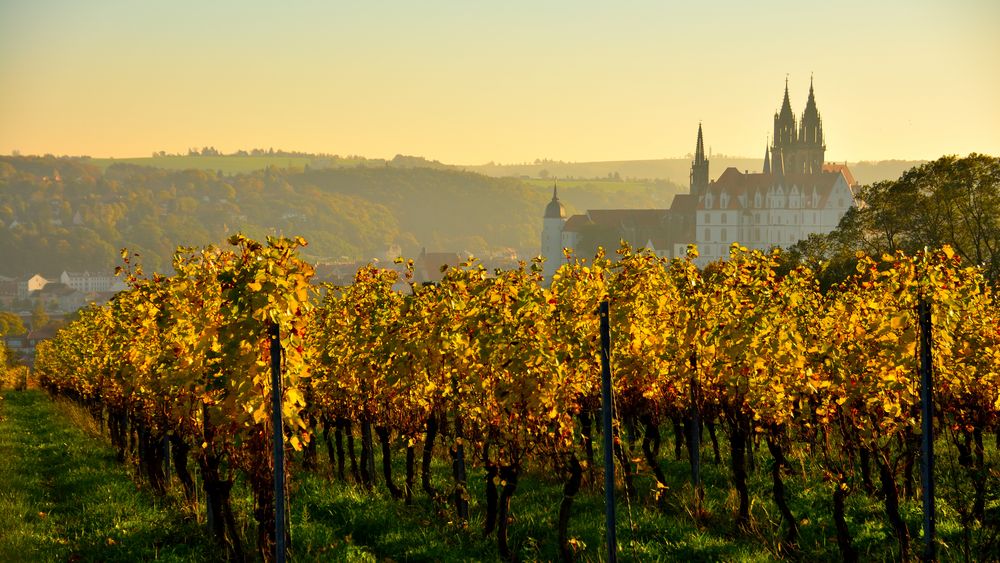 Das herbstliche Meißen