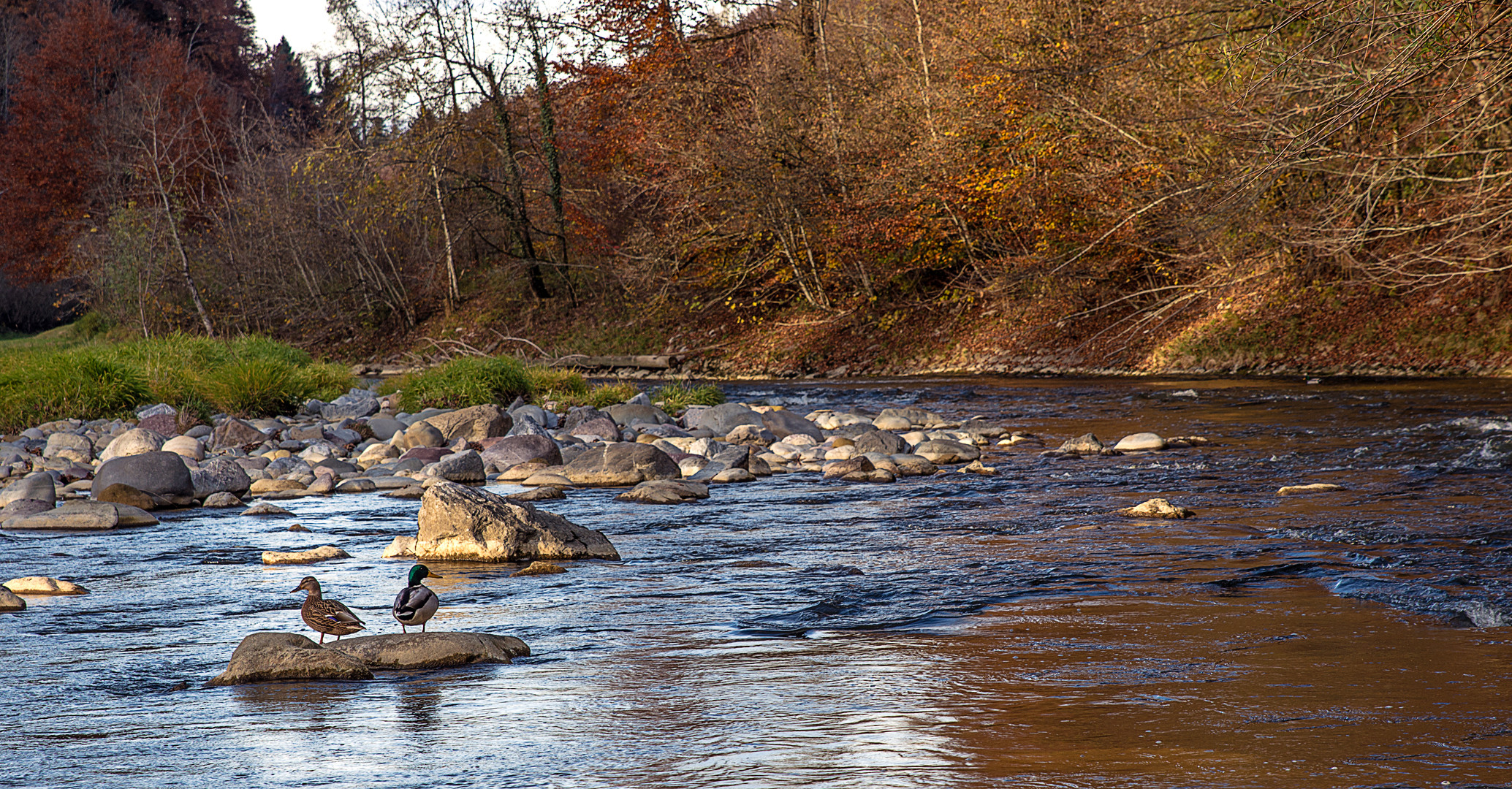 Das herbstliche Sonnenbad