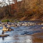 Das herbstliche Sonnenbad