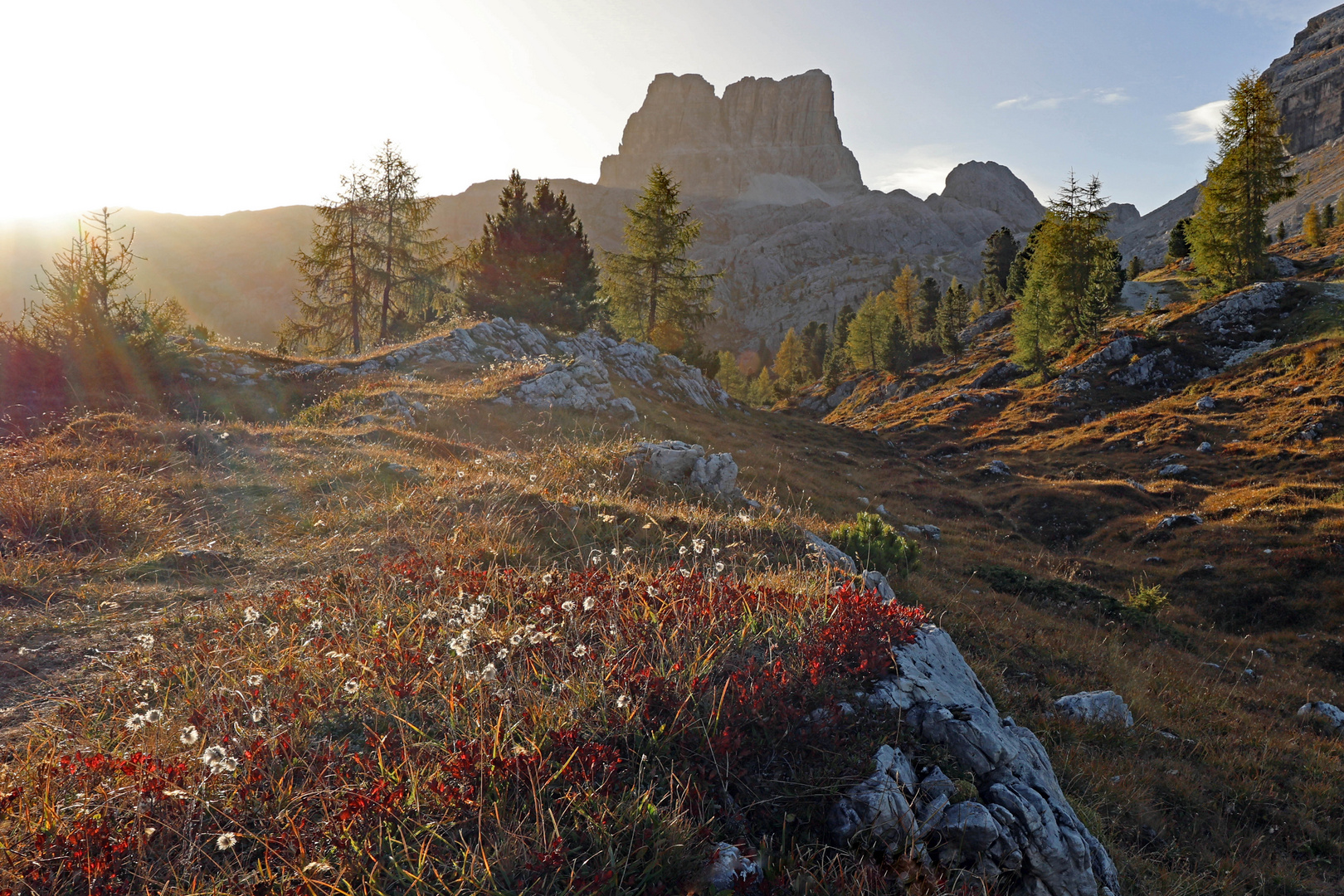 Das Herbstlicht...