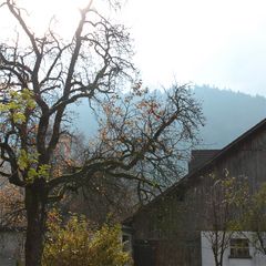 Das Herbstlicht in Göfis wünscht Euch eine gute Woche!