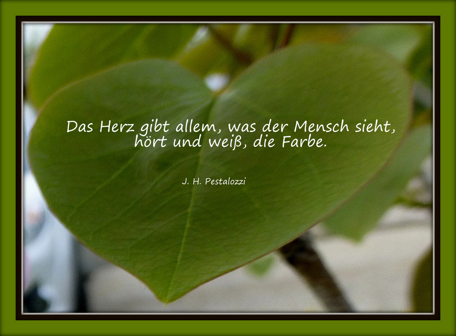 Das Herz