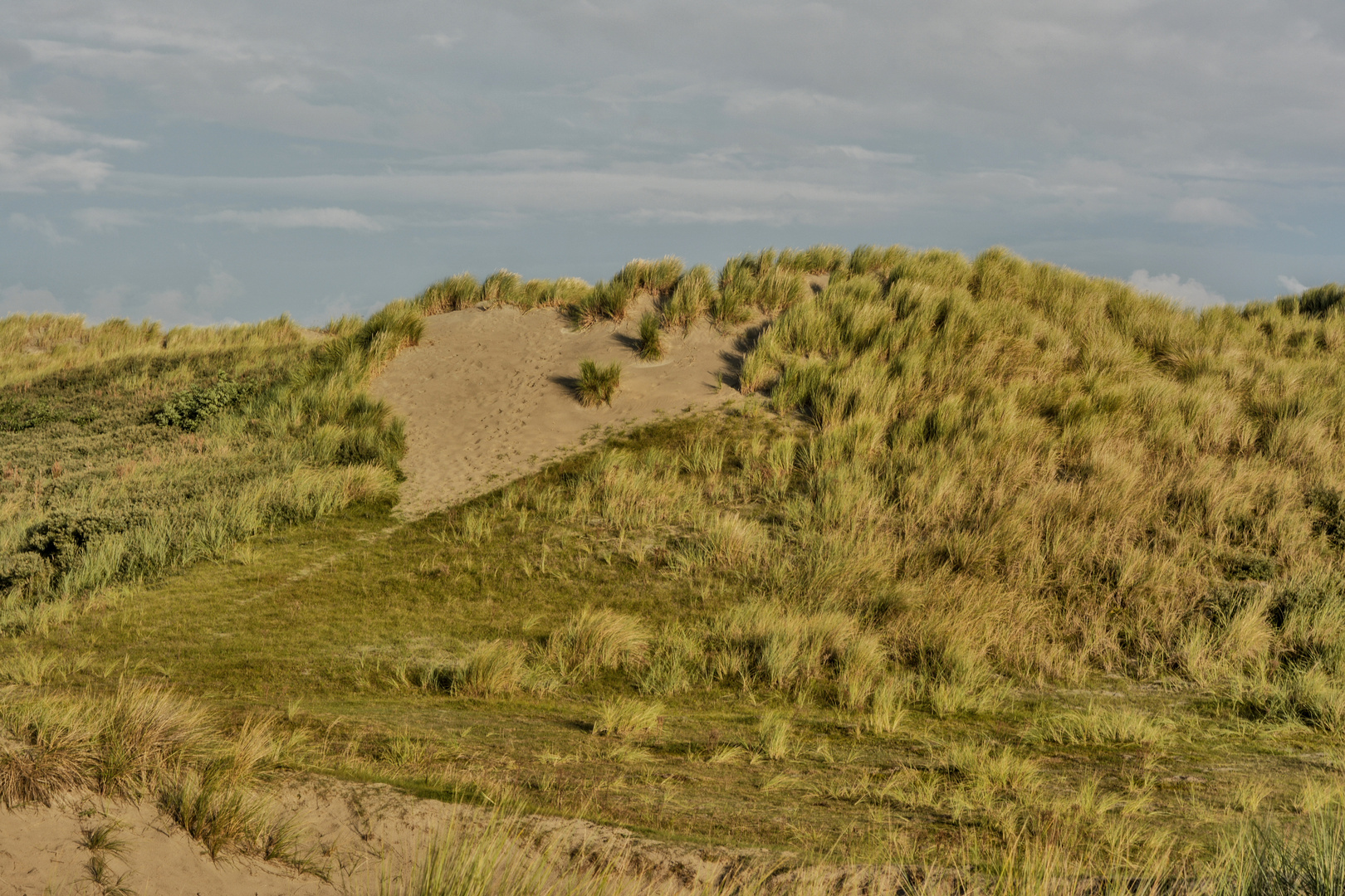 Das Herz der Insel Ameland 