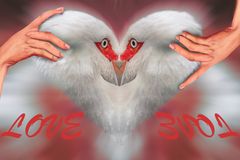 Das Herz in der Hand