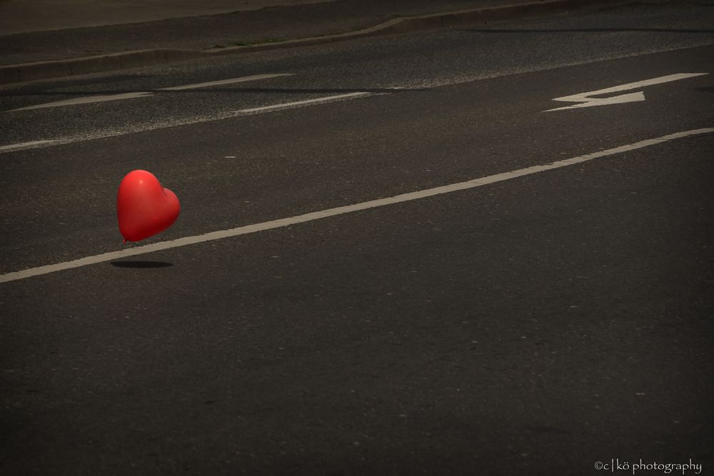 Das Herz lehrt uns sprechen, der Kopf das Schweigen. Foto & Bild