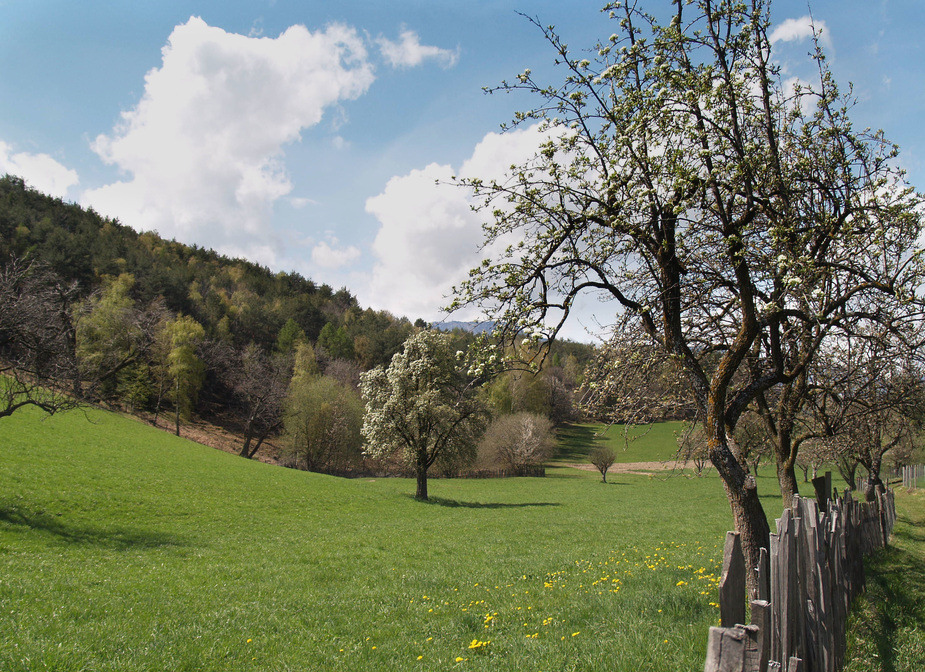 das Herz mir lacht, die Seele weit