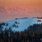 Das Herzogenhorn vor Alpenpanorama in der Abendsonne