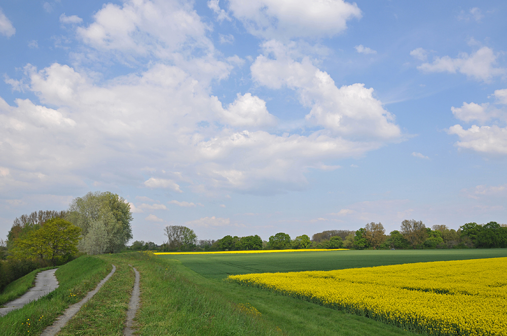 Das Hessische Ried – scheinbar für mich alleine