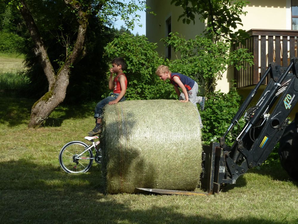 Das Heu ist im Trockenen