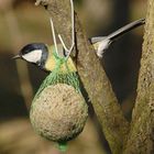 Das hier ist MEIN Knödel!!!