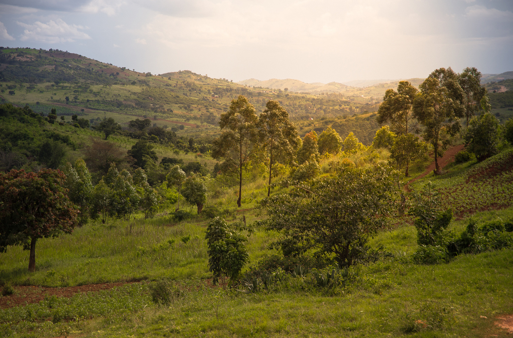 Das "Hinterland" von Kampala