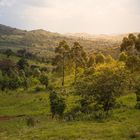Das "Hinterland" von Kampala
