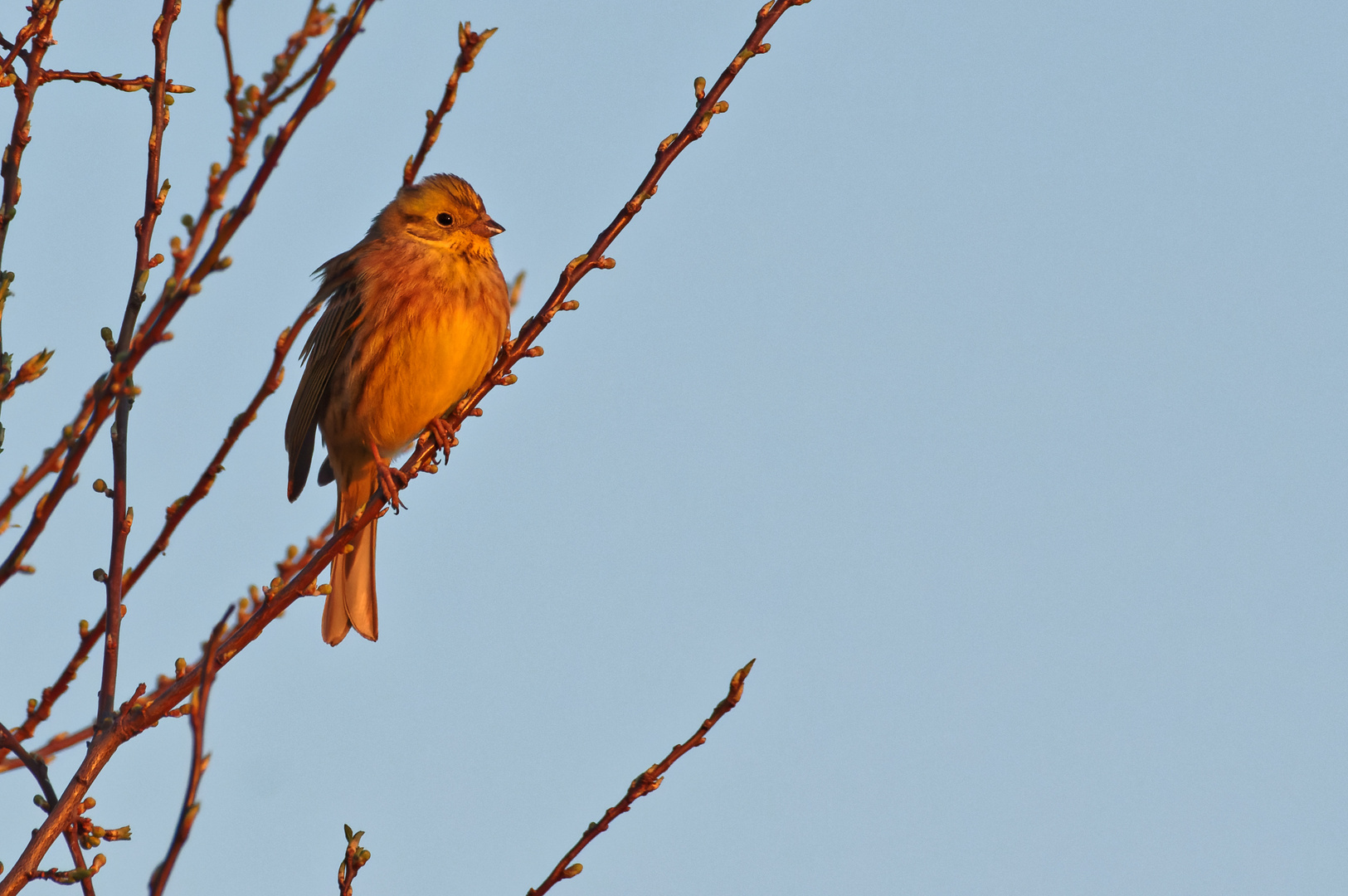 Das Hobby der Naturfotografie