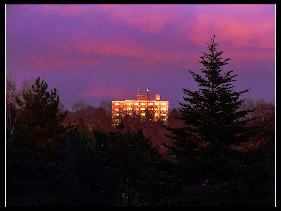 Das Hochhaus im Wald