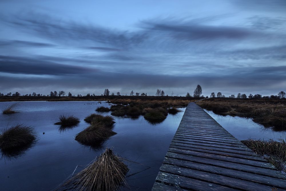 Das Hochmoor 