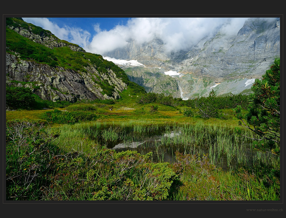 Das Hochmoor beim Fulensee