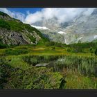 Das Hochmoor beim Fulensee