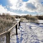 Das Hochmoor "Brackvenn" bei Kalterherberg 