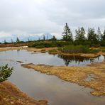 Das Hochmoor unterhalb des Gerzkopfes in Eben i Pg. 