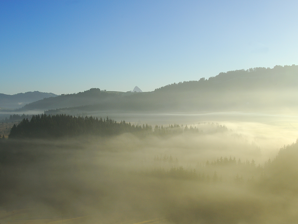 Das Hochmoor von Rothenthurm SZ im Morgennebel