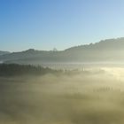 Das Hochmoor von Rothenthurm SZ im Morgennebel