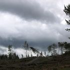 Das Hochsauerland nach Kyrill im Januar 2007