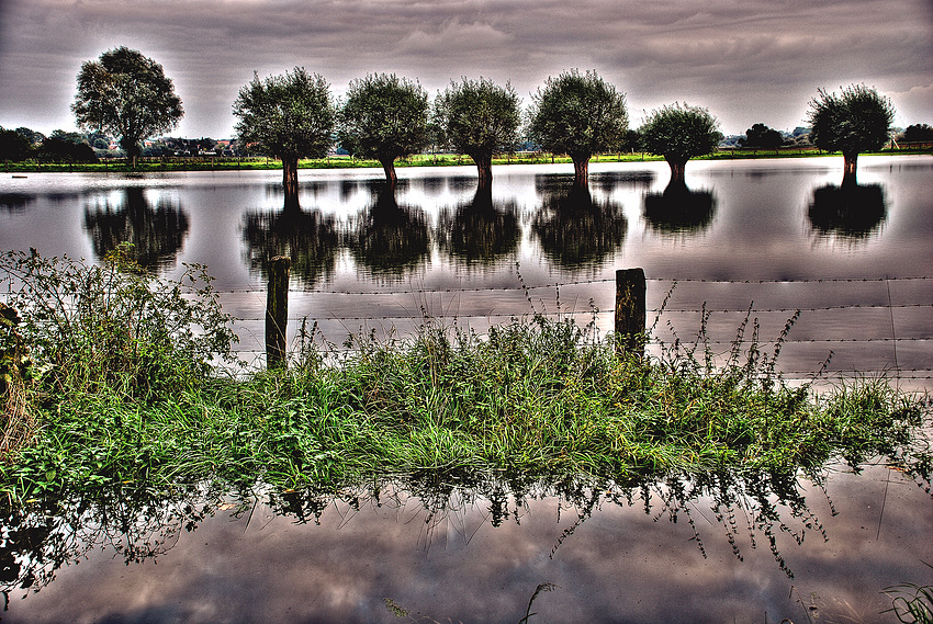 Das Hochwasser.....