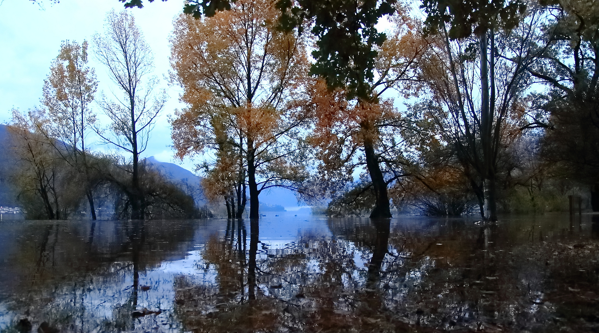 Das Hochwasser steigt weiter....