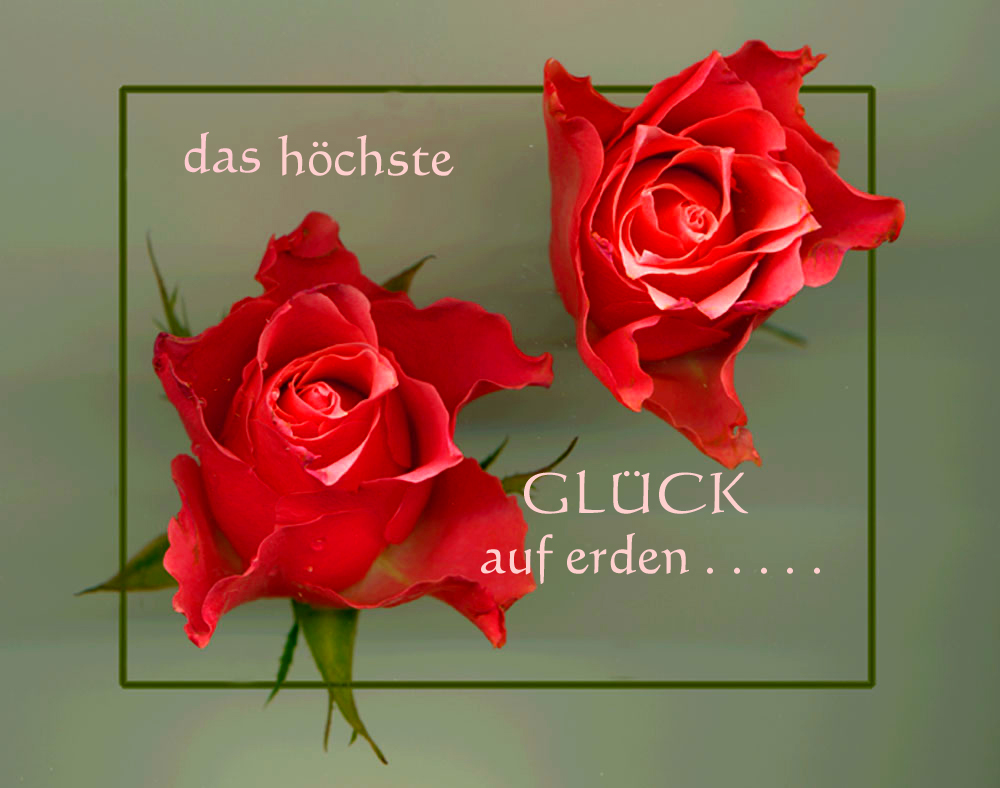 DAS HÖCHSTE GLÜCK AUF ERDEN IST DIE ....