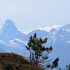 Das Höru (Matterhorn) im Hintergrund