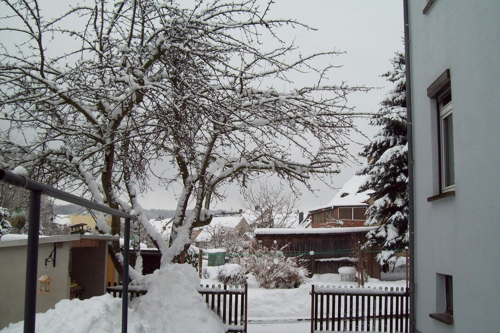 Das hoffentlich letzte bild vom winter 08/09