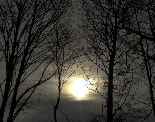 Das hoffnungsvolle Licht.........,