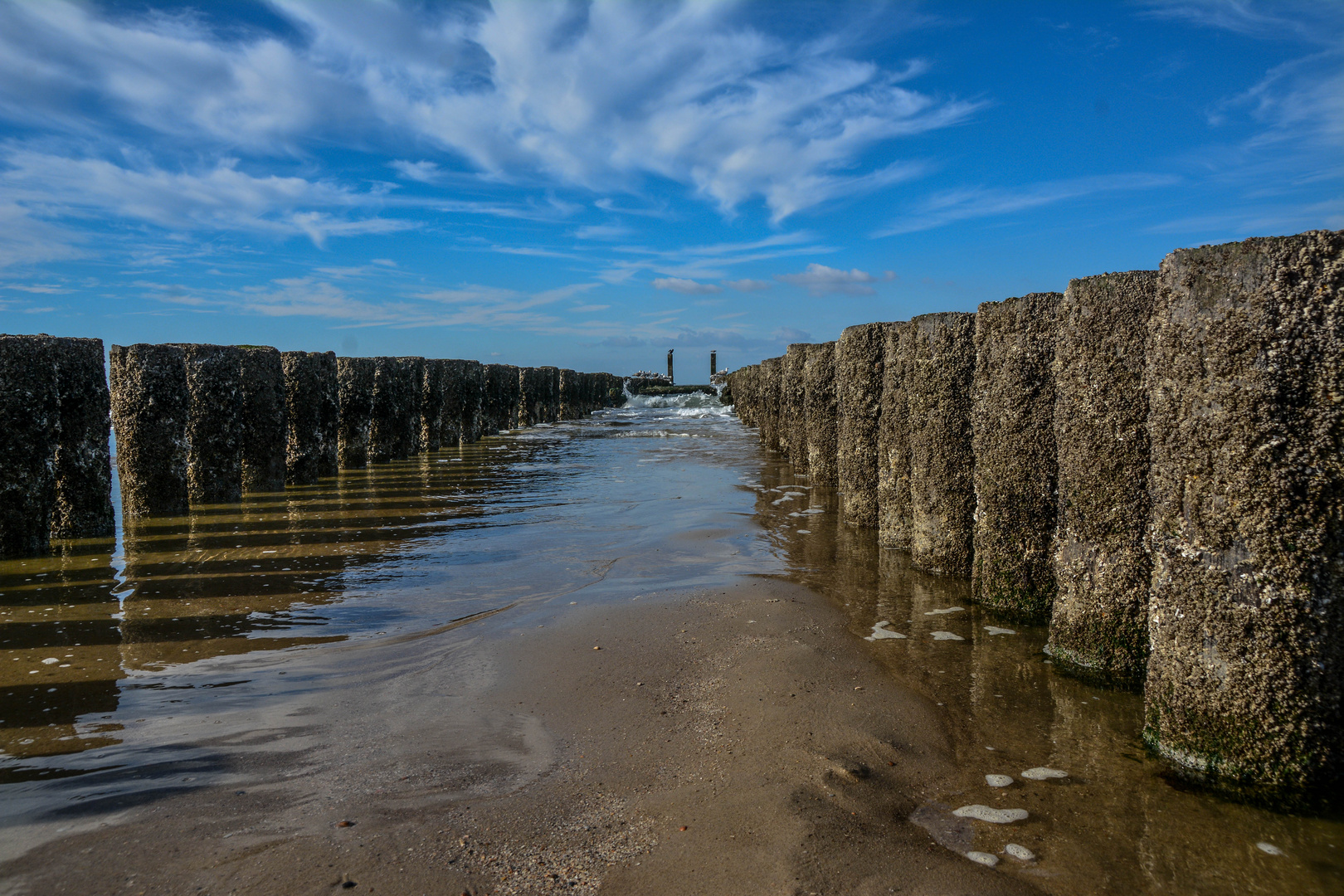 Das holländische Meer 