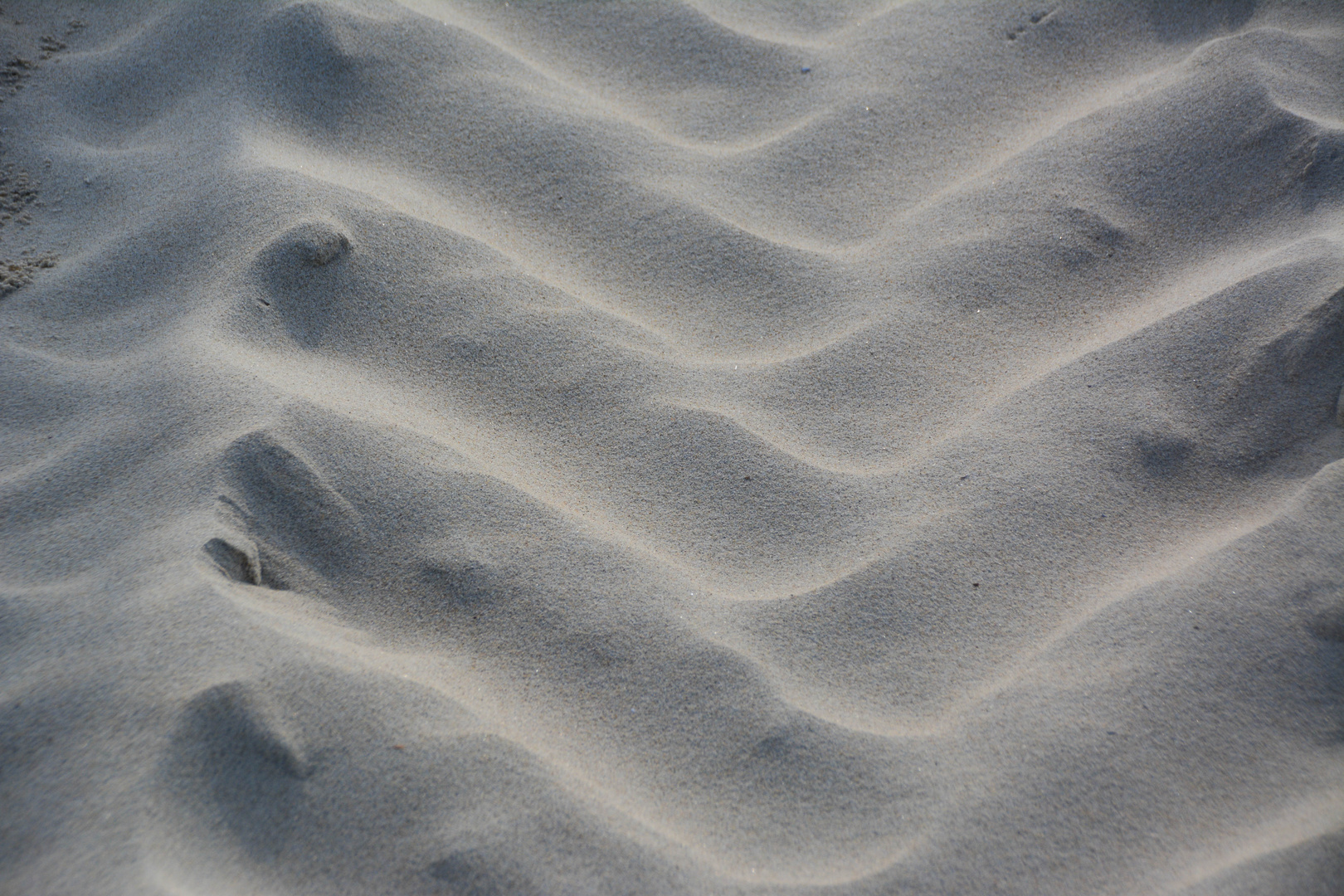 Das holländische Meer 