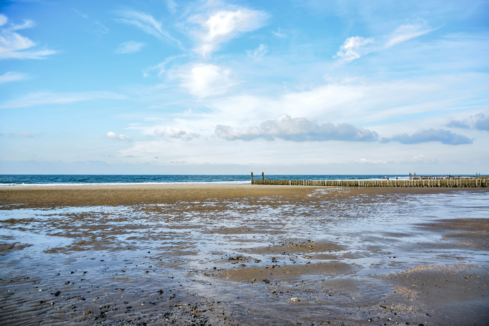 Das holländische Meer 