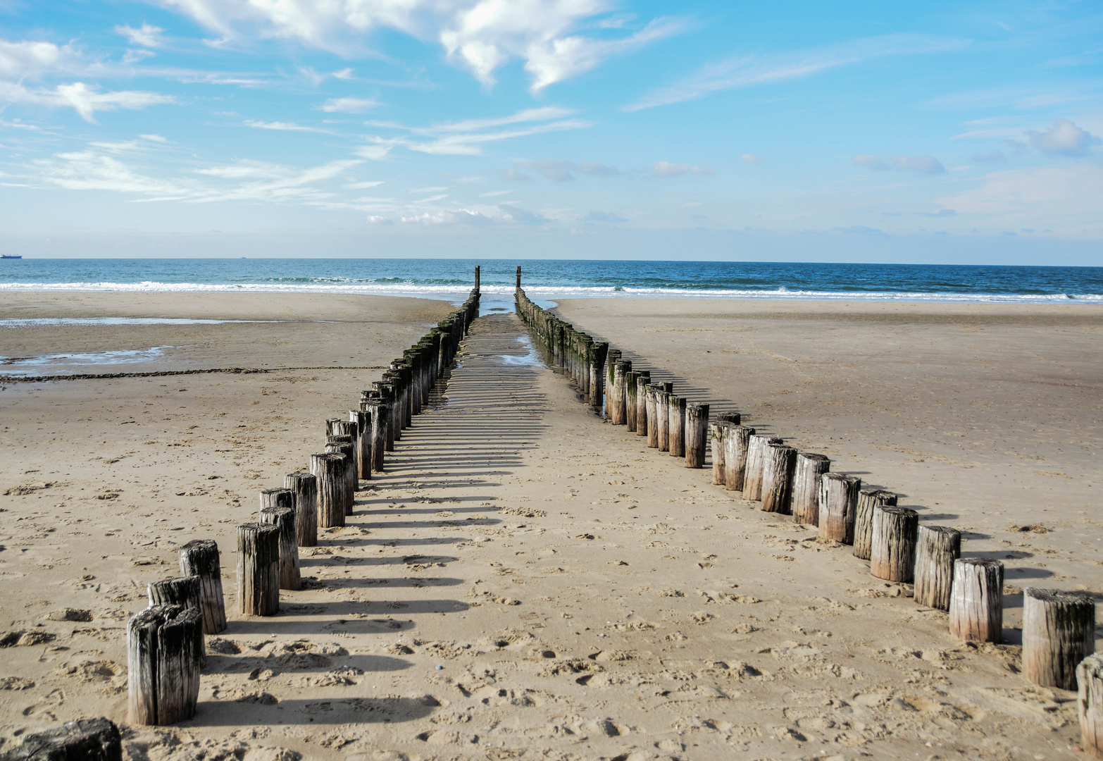 Das holländische Meer 